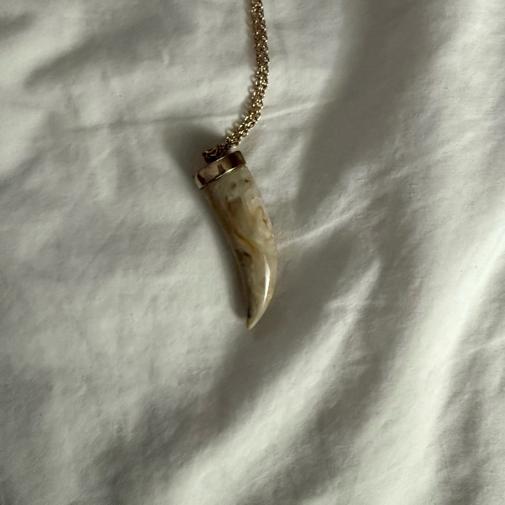 Gold Chain with Horn Pendant Necklace